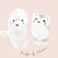 ハクソラ　抱っこしてフェレット　うちの子オーダー みず@フェレット (@ferret_rufamiru) / X