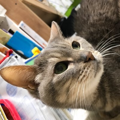 nexco_nao's profile picture. 美味しい料理とお酒と 楽しいトーク そんなのがあふれる場所が好き 。7歳男児育児中の働くお母さん