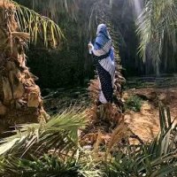 سهام أحمدو (@siham_ahmedou) 's Twitter Profile