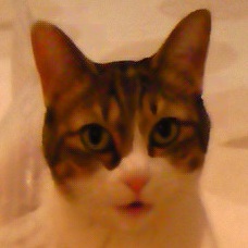 miles0801's profile picture. ワイルズの成れの果て＠wiles4416のママです(だから、miles)
ワイルズに会えるかもで始めました