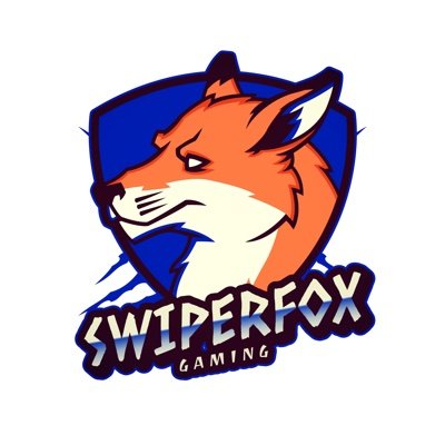 31 yr old streamer SwiperFoxGaming