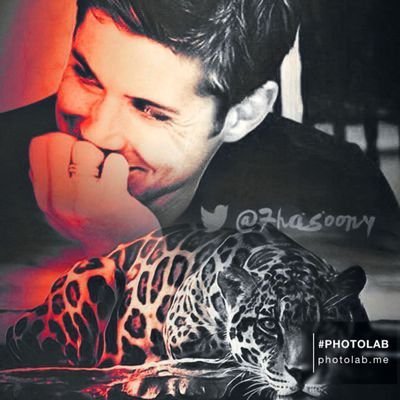 7hassony7's profile picture. 