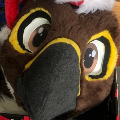 Falccbutt π MP Profile