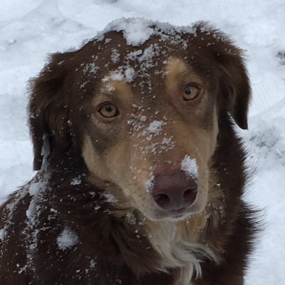 AidvNT's profile picture. aidvncrypto.eth