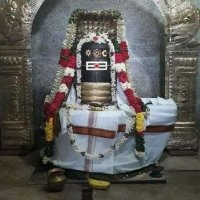 MANASA VE (@venkatr12185274) 's Twitter Profile