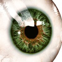 Vitao Nft (@taovinft) 's Twitter Profile