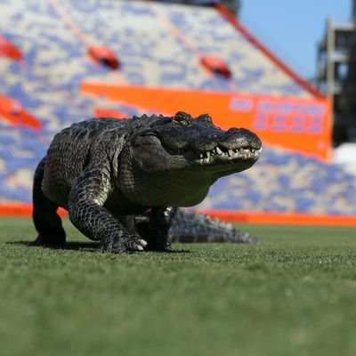 The Hank Hill of Florida.  Seinfeld fan.  Kids, politicians are not your heroes.

#GoGators 🐊  #DUUUVAL #ATOBTTR