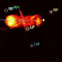 Neurogenetics of Locomotion Lab (@cmendeslab) 's Twitter Profile