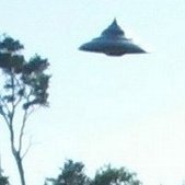 flyingburgerA's profile picture. 彷徨い続けています