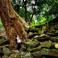 らん (@wb3e3) 's Twitter Profile