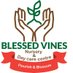 Blessed Vines Nursery & Day Care Centre (@BlessedVinesSch) Twitter profile photo