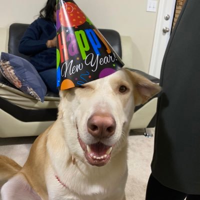 SehgalShivalika's profile picture. 