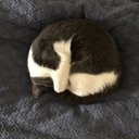 Stephen Renner - @IgnisA10 - Twitter