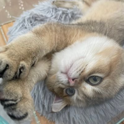 Lexy32870849's profile picture. 。