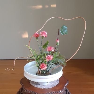 まお💐 キンドラ6/27さんのプロフィール画像