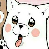 프멋쥐 (@tutdkdk) 's Twitter Profile