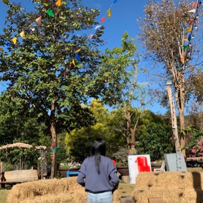 NicChawang's profile picture. Hi ~