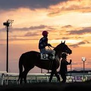 競馬歴1年で日々勉強中！中央も地方も。いつも懸命に走る馬の姿に感動。G1等の重賞もいいけど平場戦（特に未勝利戦）、地方競馬に心奪われます。馬券は穴党で下手です。