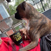 🛰Cyrus D🅰️ Great 📶 (@cyrusderis) 's Twitter Profile Photo 🛰Cyrus D🅰️ Great 📶 (@cyrusderis) 's Twitter Profile Photo