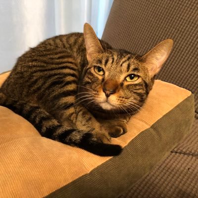 5EUCMs6FBI9y9Wl's profile picture. 