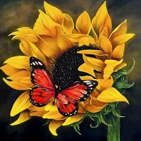 My Fancies (@fanciesmy) 's Twitter Profile