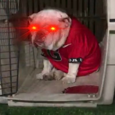 martin_hutto's profile picture. Syrup with no pancakes