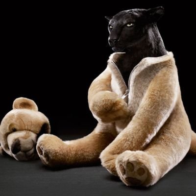 lqsea's profile picture. NA