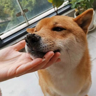 Miya_YuFan's profile picture. 