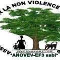 We intervene in human rights, child and women protection, education, fauna and flore in Fizi territory, eastern part of the Democratic Republic of Congo