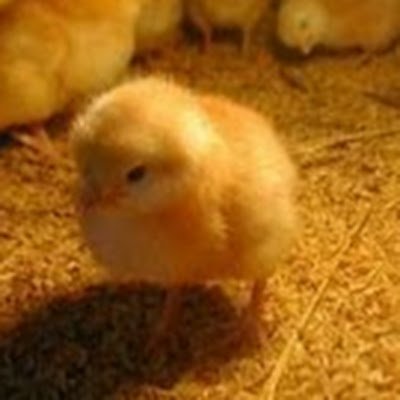 l5asr6JKvTGuUq0's profile picture. 