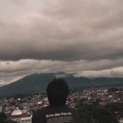 anpwyd's profile picture. 