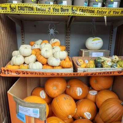 leeannerayner1's profile picture. 