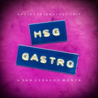 HSG Gastro(@HSG_Gastro) 's Twitter Profileg