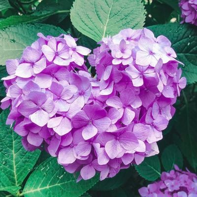 ゲーム垢❤︎お取引アカウント兼用/成人済/あんスタ→巽マヨイ、(友人分)ジュン/ エリオス→ヴィクター/アイナナ→虎於、ナギ/ウインボ→響/そのほか友人分集める場合ございます。