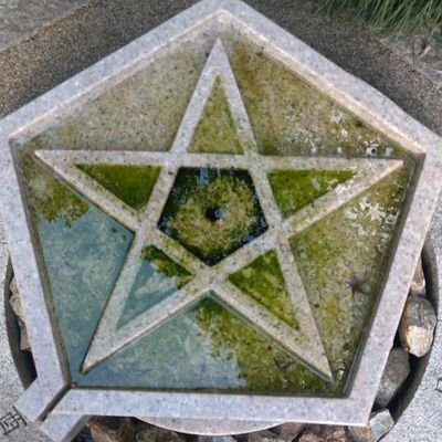 rl9jdRmTS8rNqWW's profile picture. 