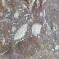 CFM (@cfm1978) 's Twitter Profile