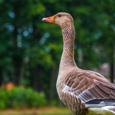 メンヘラ撲滅ウサビッチ Usa0121 Twitter メンヘラ撲滅ウサビッチ Usa0121 Twitter