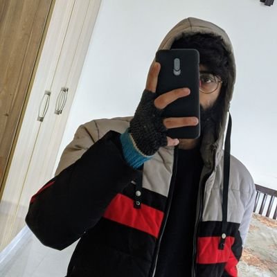 ihamzapped's profile picture. Self-taught Software Developer |
MEVN | Interested in BlockChain