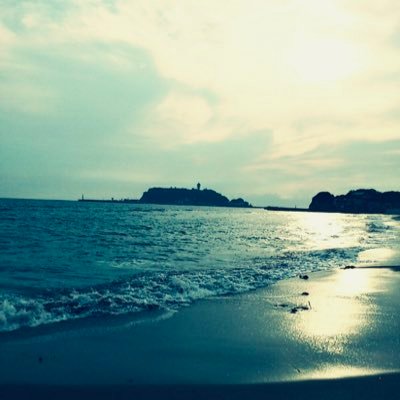 hagoromorogoha's profile picture. 雑食系です