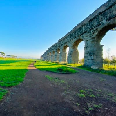 hibicland's profile picture. 