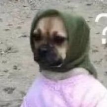 pukluk84039931's profile picture. 