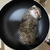 π±π (@jubbanged) 's Twitter Profile