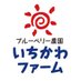 🫐ブルーベリー農園いちかわファーム🫐 / 南国高知の太陽をたっぷり浴びたフレッシュブルーベリー (@fruit_farm_1) Twitter profile photo 🫐ブルーベリー農園いちかわファーム🫐 / 南国高知の太陽をたっぷり浴びたフレッシュブルーベリー (@fruit_farm_1) Twitter profile photo