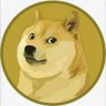 Cryptoitman's profile picture. Meme is the king of the world🐶