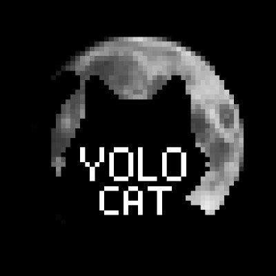 YOLO Cat Club