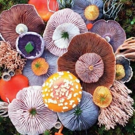 ZetaR170717's profile picture. 