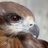 Mr.me 鳶がくるりのアイコン