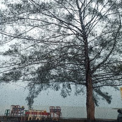 mittmita91's profile picture. FKH IPB 2009
.
"bismillah semoga dipermudah"