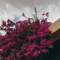 يحيى (@v6_ucm) 's Twitter Profile