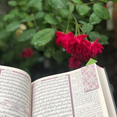 Rlii113's profile picture. قلبٌ حَفظ القرآن، حفِظ الخير كله، احبّ القرآن وأهله🤍